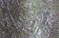 High Street fibreglass roof work